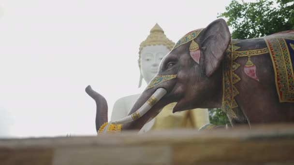 신전에서 있었던 코끼리 과커다란 종교적 — 비디오