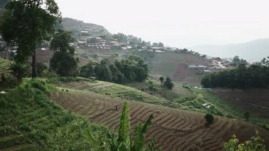 Uzaktaki çiftçiler Tayland 'daki meyve bahçelerinden geçerek tepenin aşağısına doğru yürüyorlar.