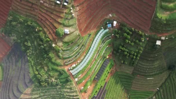 Gyönyörű Falu Egy Zöld Völgyben Levegőből Nézve Észak Thaiföldön Ázsiai — Stock videók