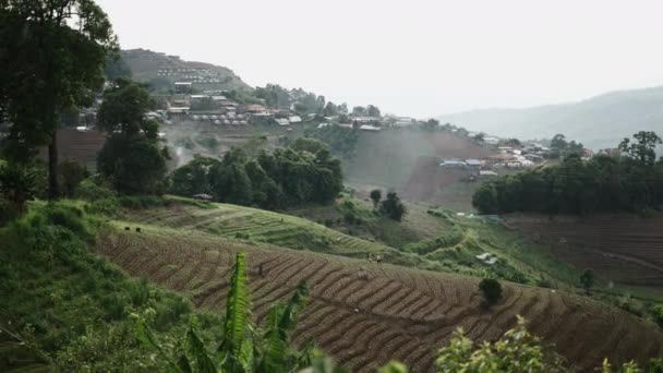 背景に農民や家を歩く果樹園がたくさんある丘 アジアの場所 — ストック動画