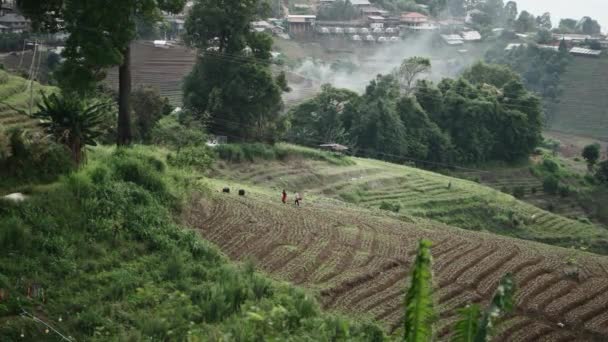 Meyve Bahçelerinin Arasında Yürüyen Çiftçilerle Dolu Bir Tepe Kenarı Asya — Stok video