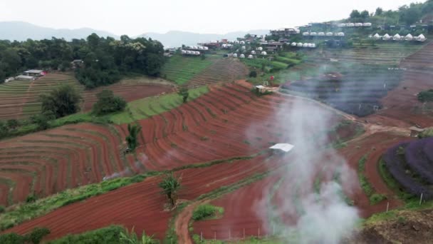Rök Stiger Från Fruktträdgårdar Grund Avfallsförbränning Chiang Mai Asiatiska Platser — Stockvideo