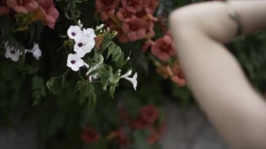 Arkadan, elleri kafasında çiçekleri gözlemleyen genç bir kıza odaklan. - Paradisiac İspanyol mekanları