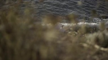 Kahverengi çalıların arasından kayaların üzerinde kırılan deniz dalgalarının görüntüsü. - Paradisiac İspanyol mekanları