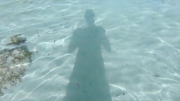 Vista Sombra Hombre Reflejada Fondo Del Mar Cámara Lenta Lugares — Vídeo de stock