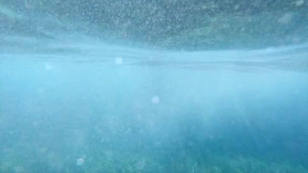 Mallorca Alg Mercanlarıyla Kaplı Sığ Deniz Tabanının Sualtı Görüntüsü Paradisiac — Stok video