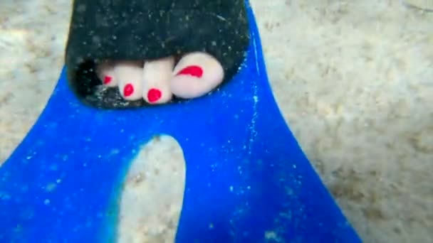 Onderwaterzicht Een Vrouwelijke Voet Met Rode Teennagels Een Flipper Zeebodem — Stockvideo