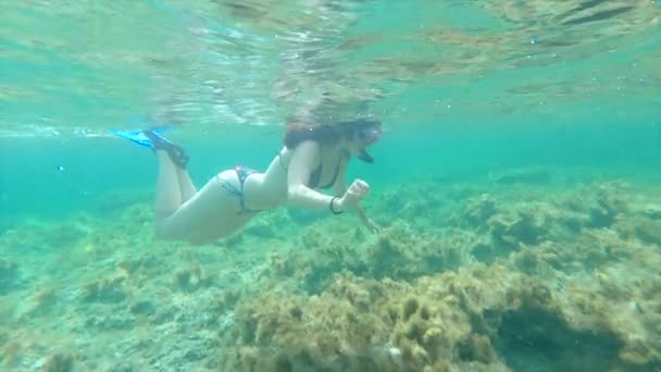 Υποβρύχια Θέα Μιας Νεαρής Γυναίκας Που Κάνει Ψαροντούφεκο Δίπλα Έναν — Αρχείο Βίντεο