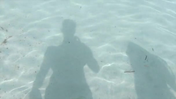 Vista Submarina Sombra Una Pareja Heterosexual Caminando Juntos Lugares Paradisíacos — Vídeo de stock