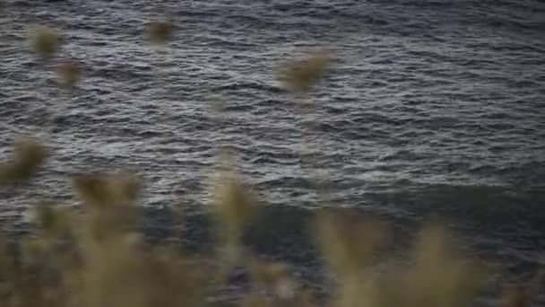 View Calm Sea Sunset Mediterranean Coast Dry Bushes Paradisiac Spanish — Stock Video