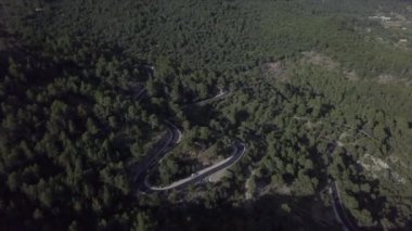 Ağaçlarla çevrili virajlı ve ıssız kırsal bir yolun panoramik drone görüntüsü. - Paradisiac İspanyol mekanları
