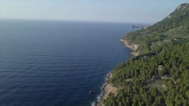 Sabahları sakin denizi olan çam ağaçlarıyla dolu bir ada manzarası. - Paradisiac İspanyol mekanları