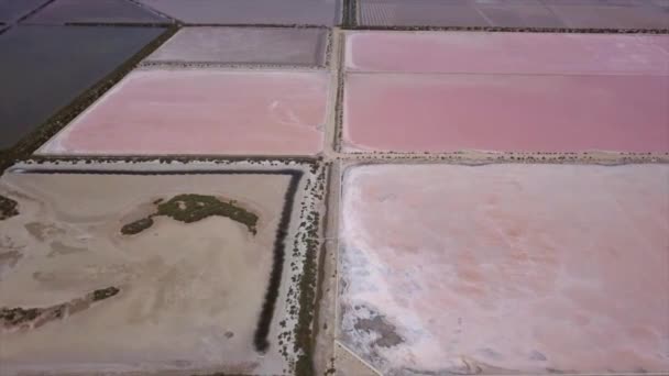 Flooded Pink Salt Mines Drone View Overhead Baleares Paradisiac Spanish — Stock Video