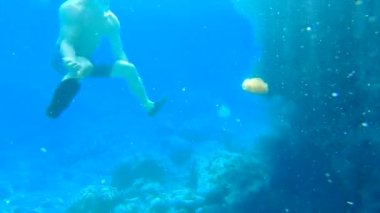 Şnorkel maskeli beyaz çocuk denizanası adası turizmiyle oynuyor.