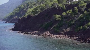 Mallorca Adası 'ndaki bir koyda dağların ve Akdeniz ormanlarının manzarası