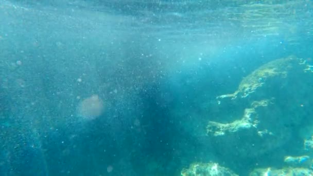 Vista Submarina Rocas Rayos Sol Que Penetran Turismo Las Islas — Vídeo de stock