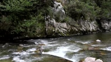 Güçlü bir su akışıyla yeşil bir ormanı geçen güzel bir nehir. İspanya 'nın kuzeyi.