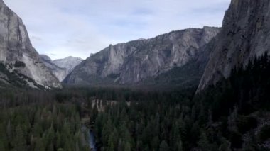 Amerika 'daki çam ormanlarıyla çevrili dağlar. Seyahat videoları.