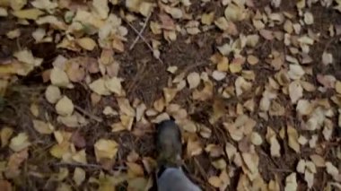 Botlu ve kot pantolonlu bir adamın bacakları sonbahar gezisi videosunda ormanda yürüyor.
