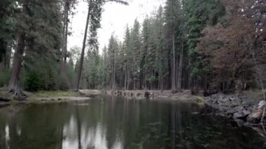 California 'da bir ormanın ortasındaki bir nehrin görüntüsü.