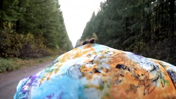白种人 留着马尾辫和曼达拉毛毯穿过森林旅行视频 — 图库视频影像