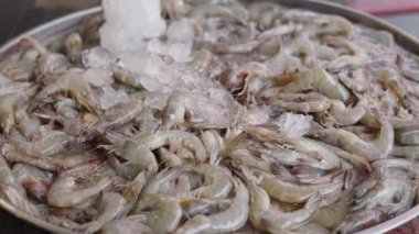 Tayland, Bangkok 'taki yerel bir balık pazarında buzlu taze karidesler geleneksel Tayland işi.