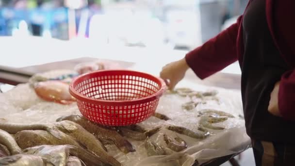 タイのバンコクで地元の魚市場でそれらを購入するプラスチック製のバスケットにエビを取得するクライアント タイの伝統的なビジネス — ストック動画