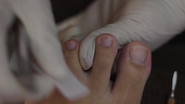 Macro Close Nail Trimming Pedicure Professional Health Concept — Vídeo de Stock