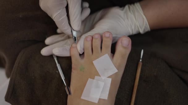 Close Pedicure Expert Hands Using Cuticle Trimmer Left Foot Health — Vídeo de Stock