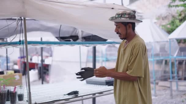 Cultivateur Mauvaises Herbes Met Des Gants Pour Travailler Ferme Cannabis — Video