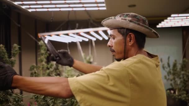 泰国园艺师为室内木偶种植园的社交媒体制作视频 法律木偶概念 — 图库视频影像