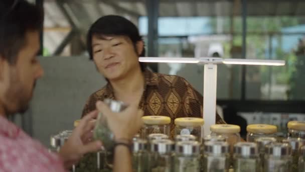 Penjaja Toko Cannabis Membantu Klien Untuk Memilih Bunga Ganja Konsep — Stok Video