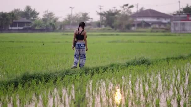 Gadis Tak Dikenal Berjalan Melalui Sawah Thailand Kehidupan Pedesaan — Stok Video