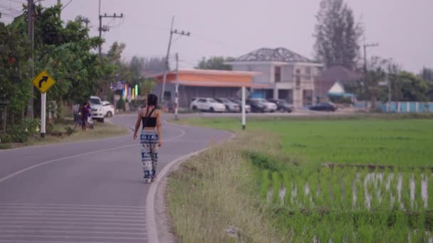 Fille Avec Deux Nattes Promenades Long Route Campagne Vie Rurale — Video