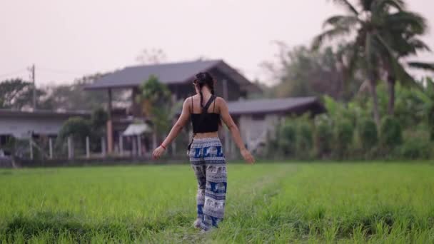 Gadis Tak Dikenal Dengan Bandolier Berjalan Rumput Kehidupan Pedesaan — Stok Video