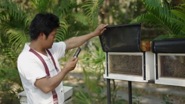 Asiatischer Mann Blickt Auf Sein Handy Während Plastik Bienenkasten Berührt — Stockvideo