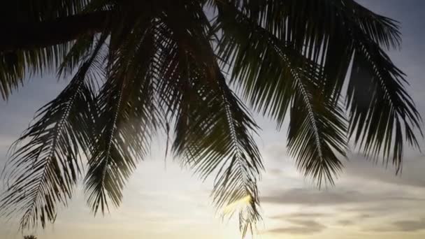在泰国海滩上玩乐的朋友小组 恋童癖 — 图库视频影像