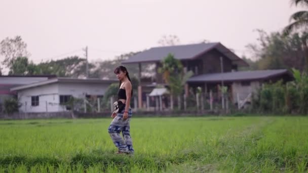 Gadis Dengan Dua Ekor Babi Berjalan Melalui Lapangan Asia Kehidupan — Stok Video