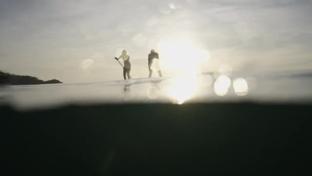 日没の彼らのパドルサーフボード上のカップルのシルエット カップル旅行の概念 — ストック動画