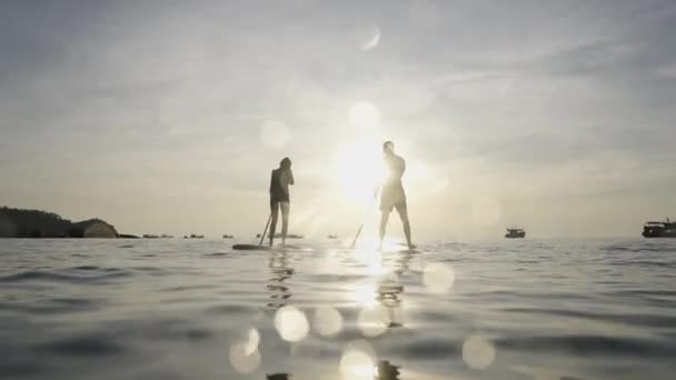 Zicht Een Koppel Hun Peddel Surfplanken Zon Met Boten Achtergrond — Stockvideo