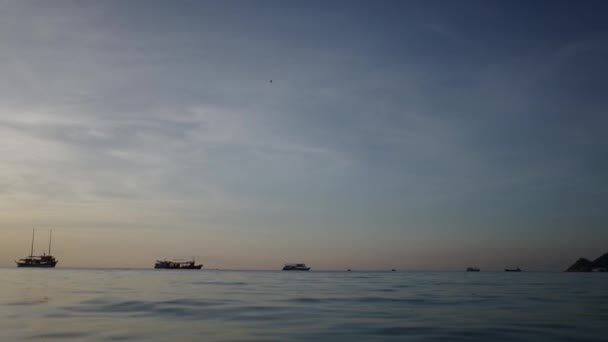 Pájaro Volando Sobre Agua Barcos Atardecer Tailandia Concepto Viaje Pareja — Vídeo de stock