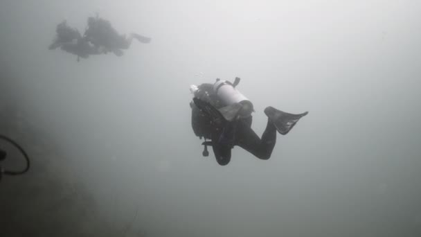 有几个成年人在低光天化日之下在观涛潜水 海洋生物 — 图库视频影像