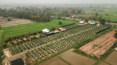 Açık bir çimen alanının tepesinden görünüm - Yasal