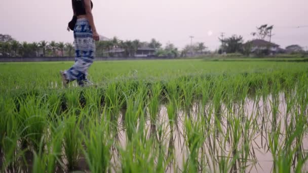 Chica Pantalones Elefante Camina Través Campo Con Agua Vida Rural — Vídeo de stock