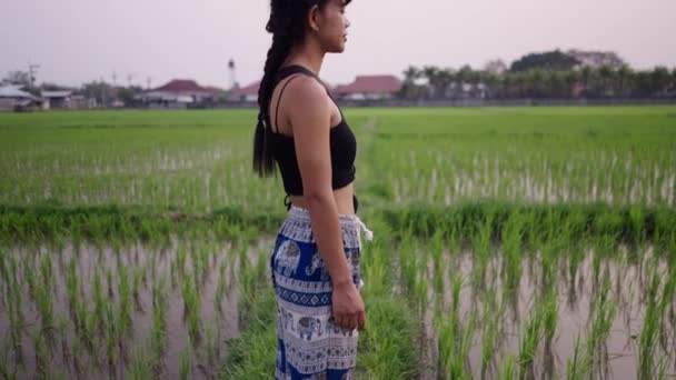 笑顔で地平線を見ている少女のクローズアップ 農村生活 — ストック動画