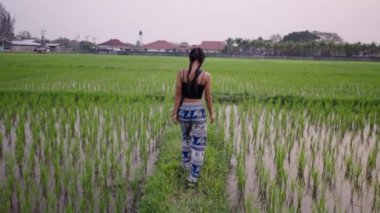 Tayland 'da pirinç tarlasında yürüyen yetişkin bir kız.