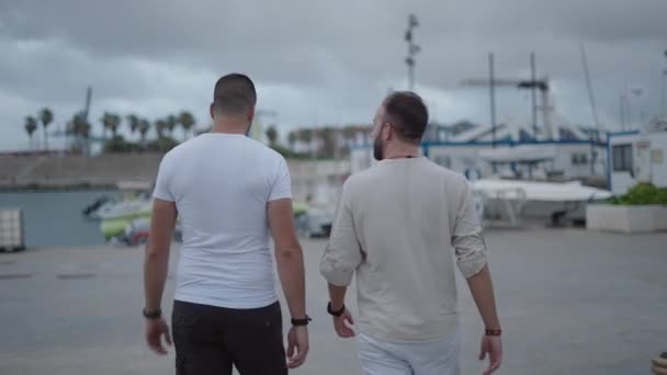 Dois Homens Caucasianos Falando Enquanto Caminham Estilo Vida Luxuoso — Vídeo de Stock
