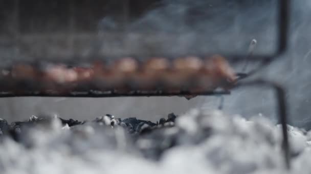 Closeup Embers Burning Some Sausages Spanish Traditional Food — Stock Video