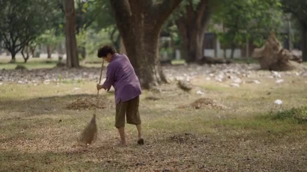 Una Señora Asiática Barriendo Hojas Secas Bosque Horizontal Video — Vídeos de Stock