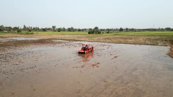 Tractor Cosechando Campo Arroz Tailandia Paisaje Local Horizontal — Vídeos de Stock